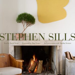 Stephen Sills: A Vision For Design