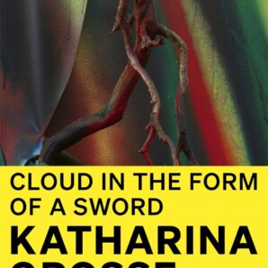 Katharina Grosse: Cloud in the Form of a Sword