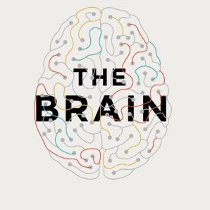 The Brain: Everything You Need to Know