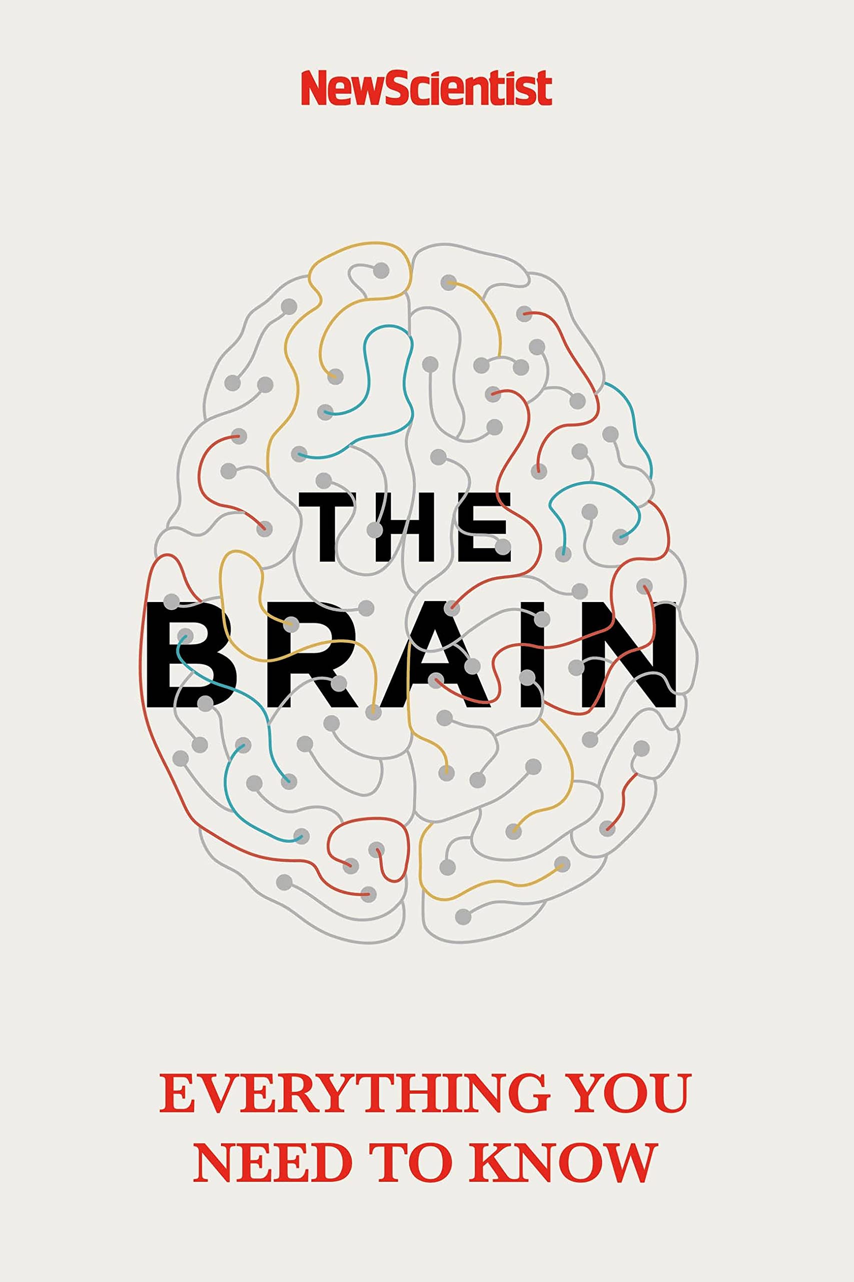 The Brain: Everything You Need to Know