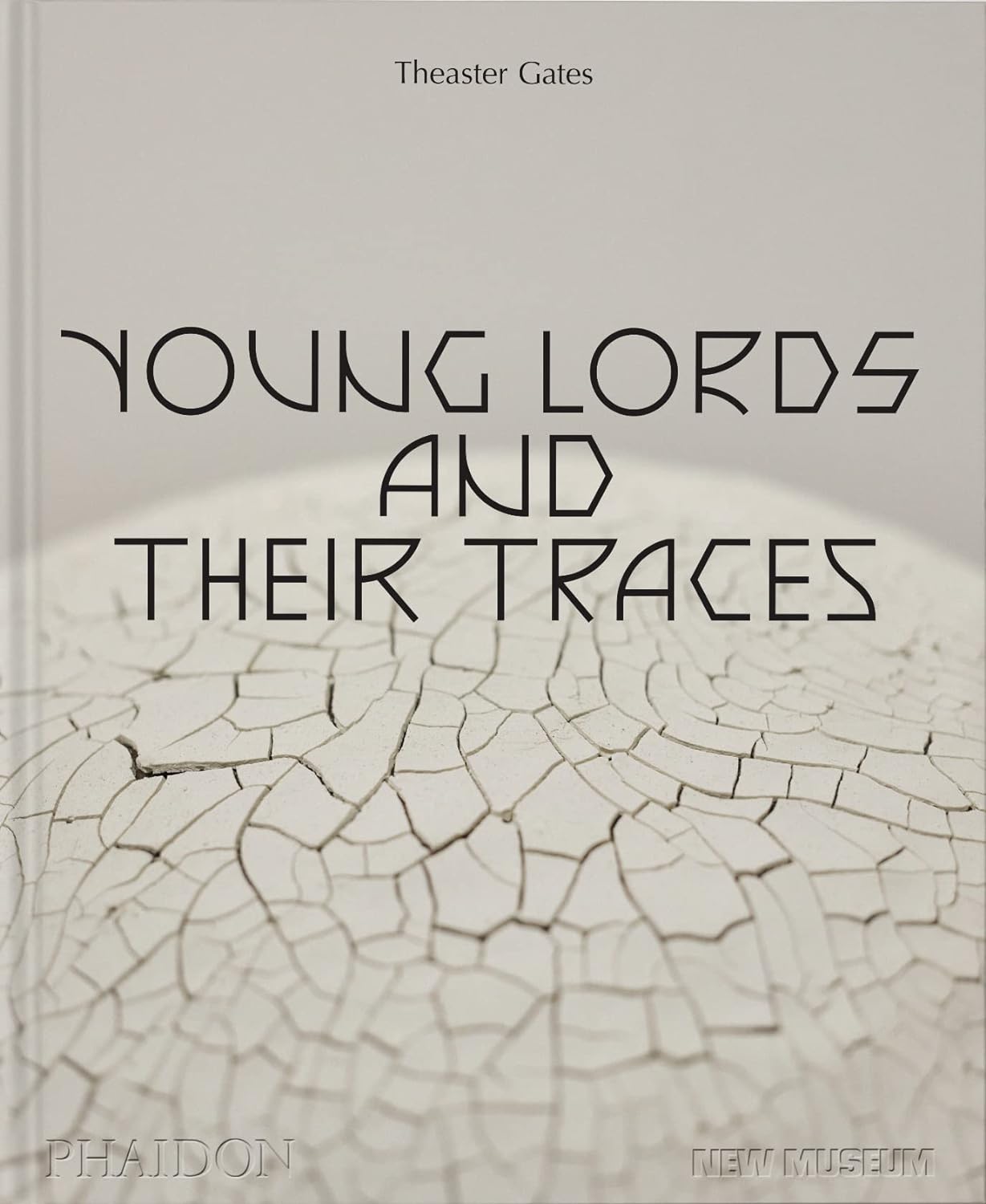 Theaster Gates: Young Lords and Their Traces
