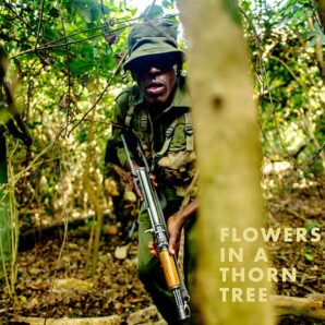 Steven Thackston: Flowers in a Thorn Tree