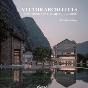 Vector Architects: Gong Dong and the Art of Building