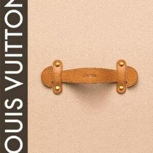 Louis Vuitton: The Birth of Modern Luxury