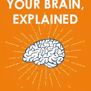 Your Brain, Explained