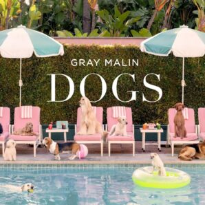 Gray Malin. Dogs