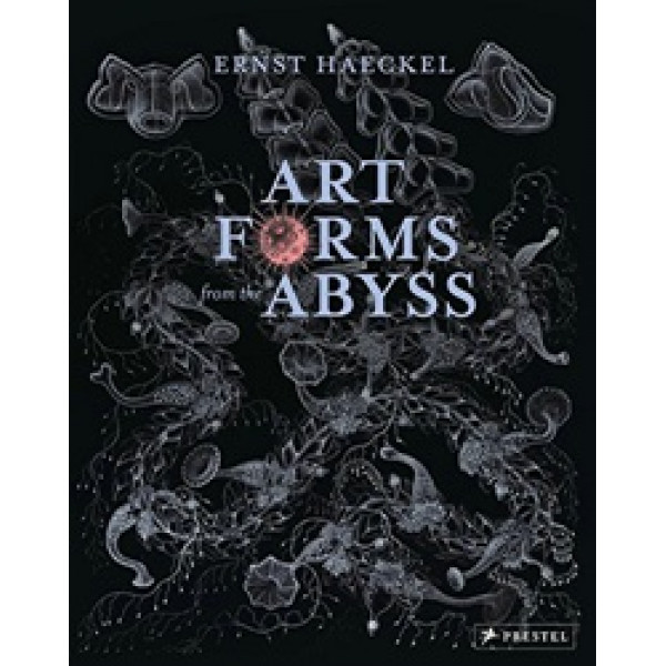Art Forms from the Abyss