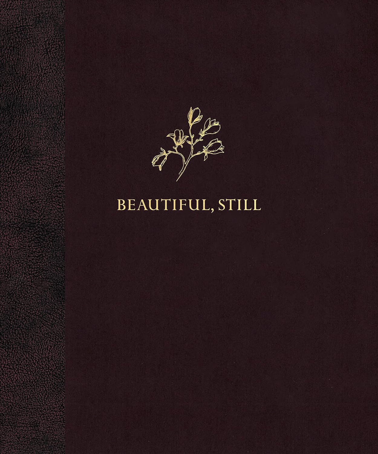 Beautiful, Still by Colby Deal