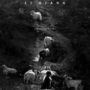 Li Qianq: China Since 1981