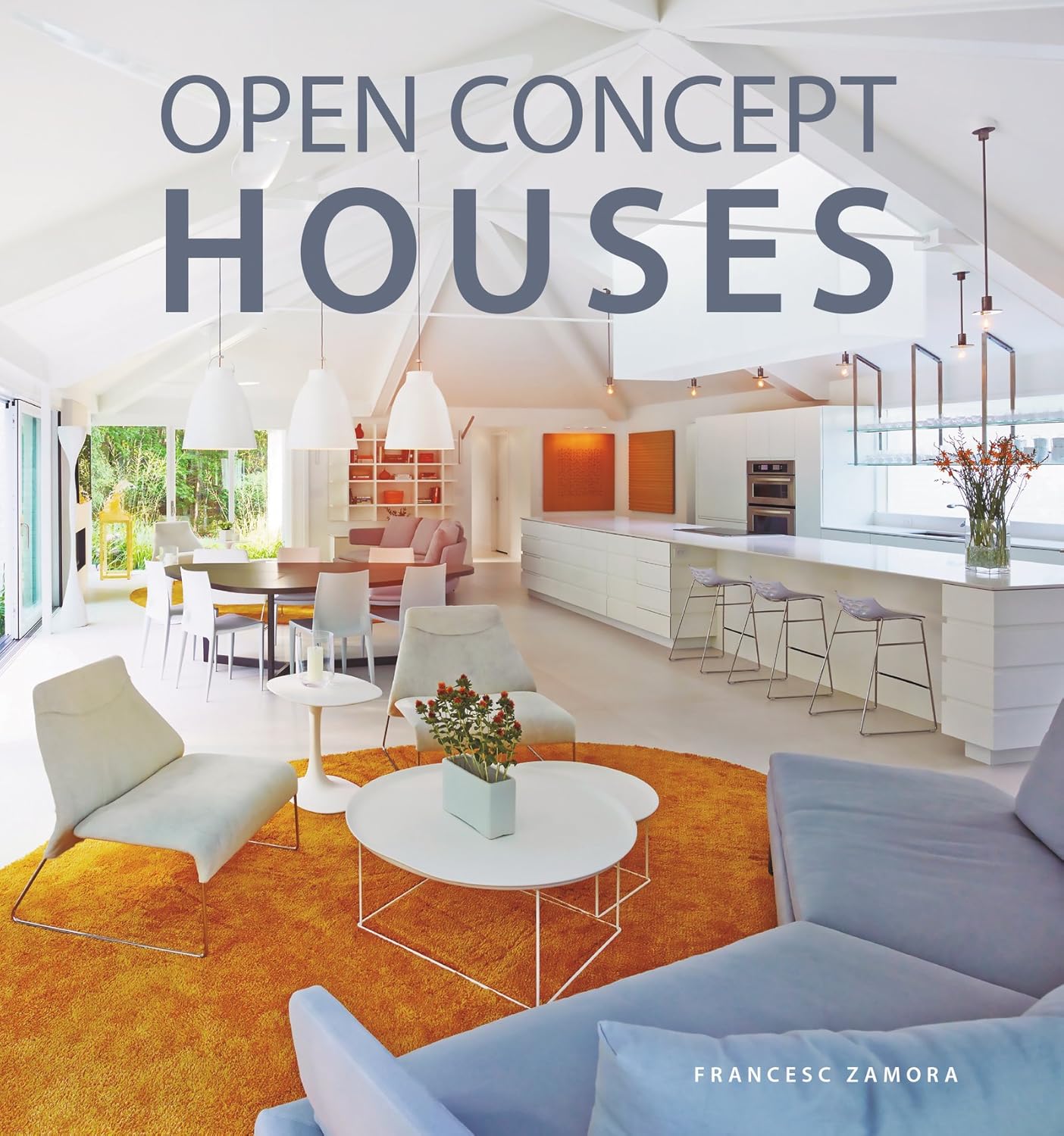 Open Concept House