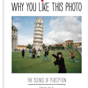 Why You Like This Photo