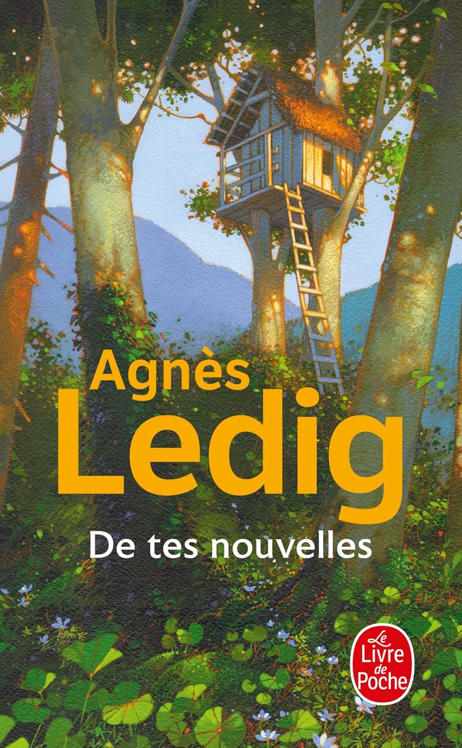 De Tes Nouvelles