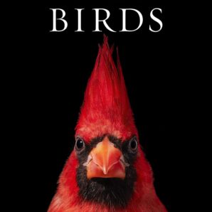 Tim Flach. Birds