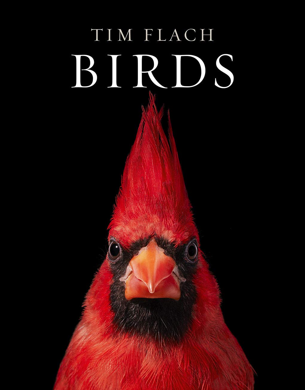 Tim Flach. Birds