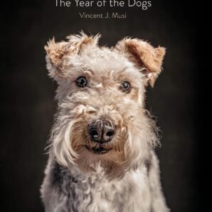 Year of the Dogs