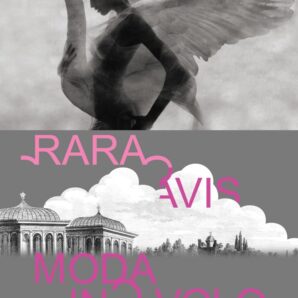 Rara Avis