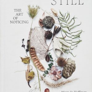 STILL: The Art of Noticing