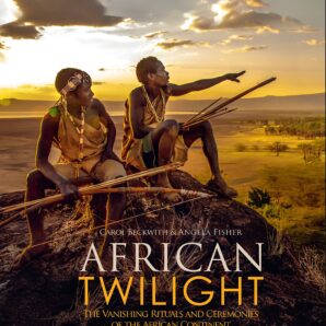 African Twilight