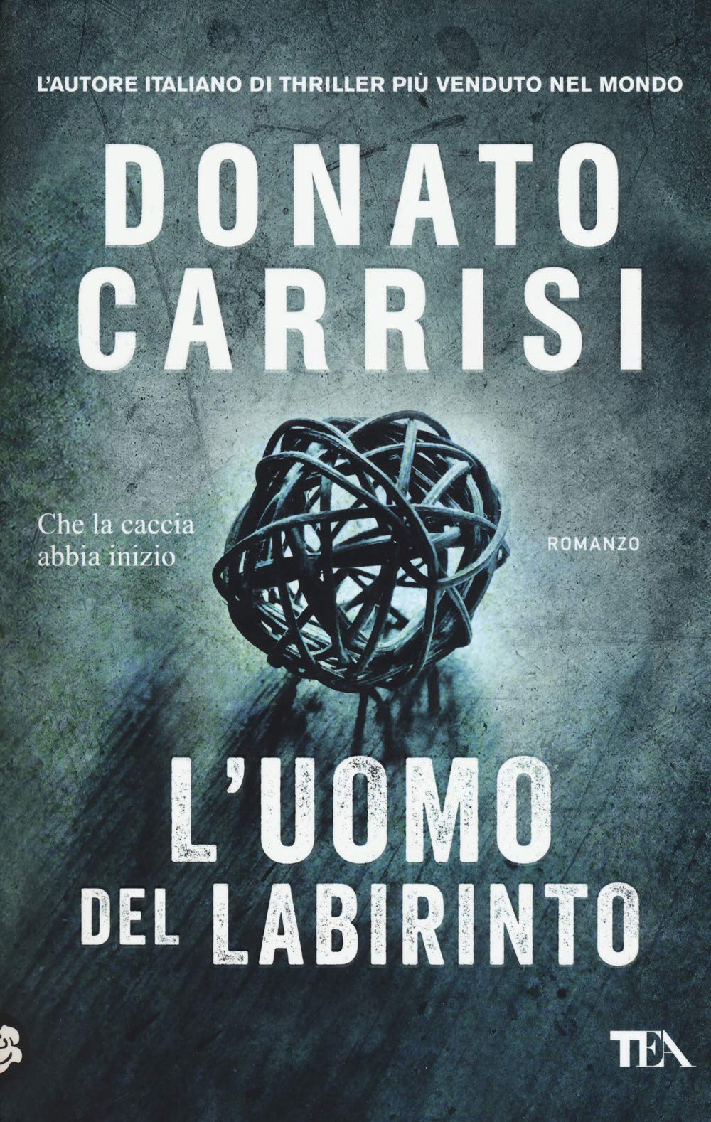 L'Uomo del labirinto