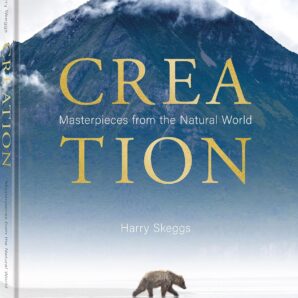 Creation: Masterpieces from the Natural World