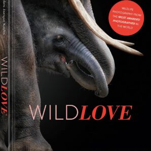 Wildlove