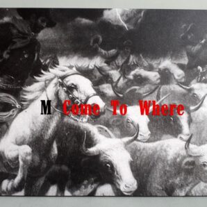 M come to where by Max Regenberg and Hubertus Butin