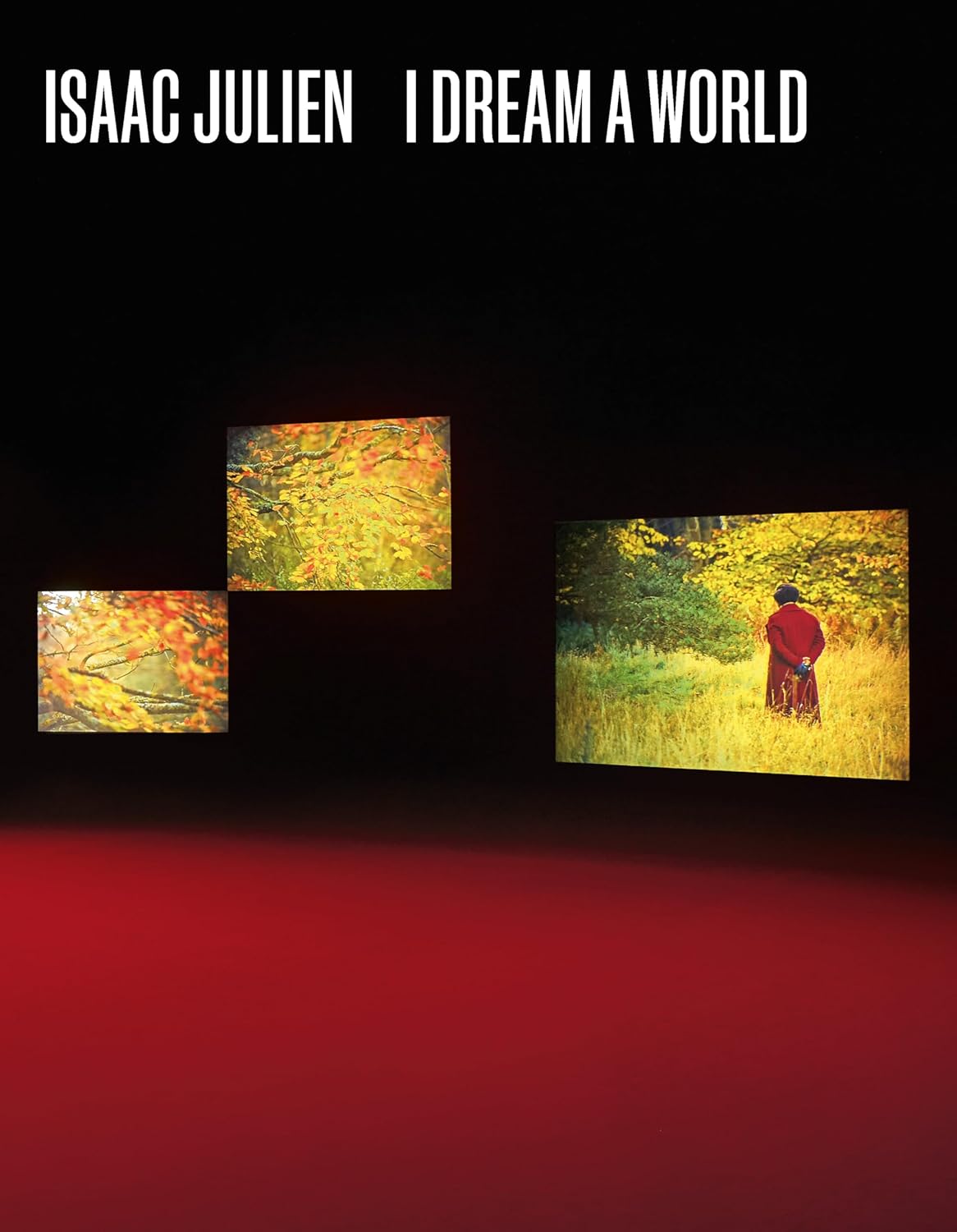 Isaac Julien: I Dream a World